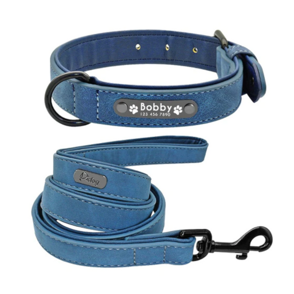 Vibrant Colours Personalized Dog Collars Leashes Leads & Head Collars