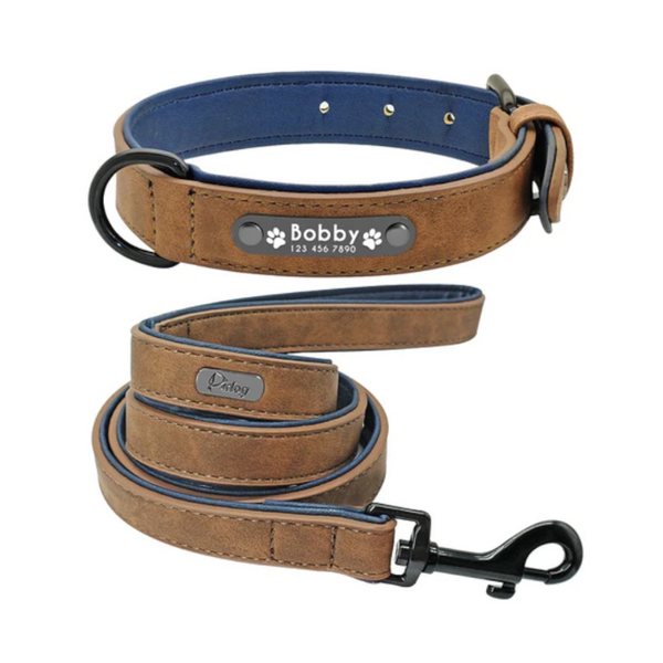 Vibrant Colours Personalized Dog Collars Leashes Leads & Head Collars