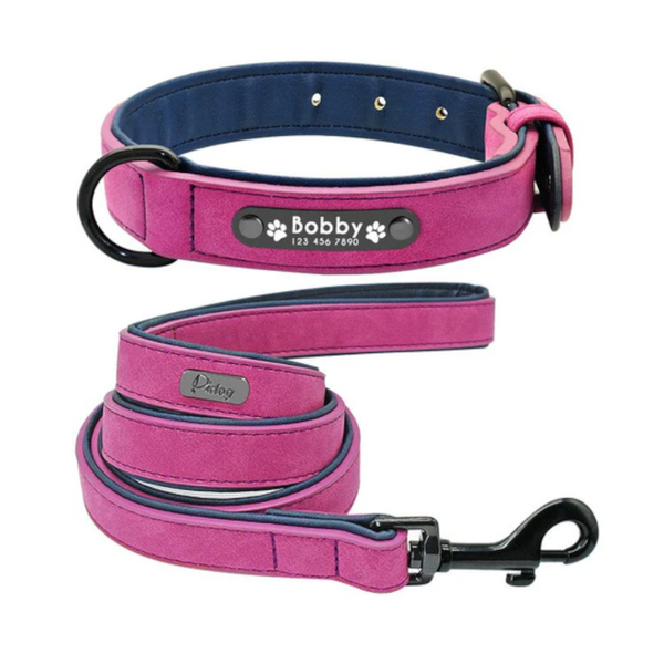 Vibrant Colours Personalized Dog Collars And Leashes