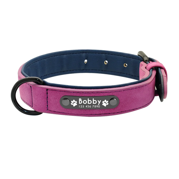 Vibrant Colours Personalized Dog Collars And Leashes
