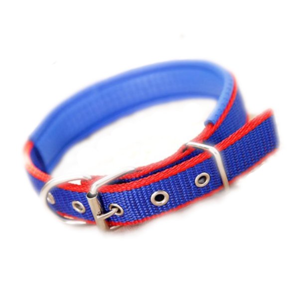 Walk Me Nylon Flat Dog Collar Dog Collars