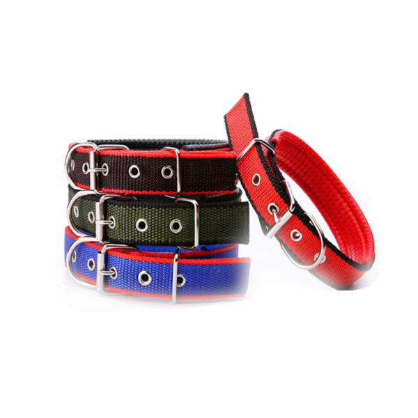Walk Me Nylon Flat Dog Collar Dog Collars