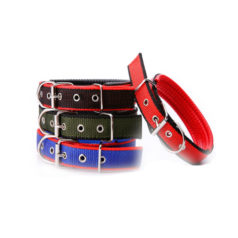 Walk Me Nylon Flat Dog Collar Dog Collars