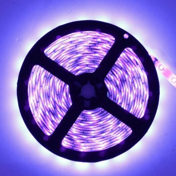Deepdream Black Light Uv 395 400Nm 3528 Smd Flexible Led Strip Dc12v Purple Meters String Lights