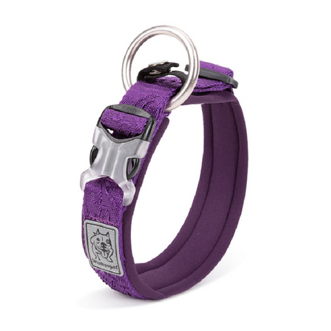 Whinhyepet Collar Purple - L