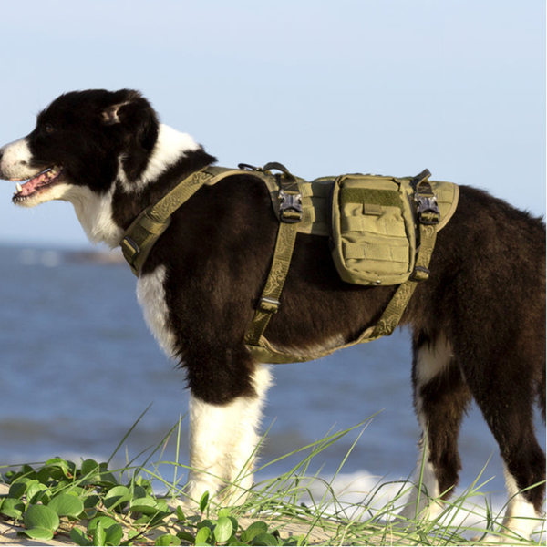 Whinhyepet Military Harness Army Green