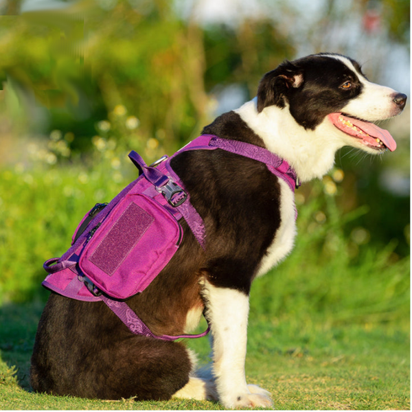 Whinhyepet Military Harness Purple
