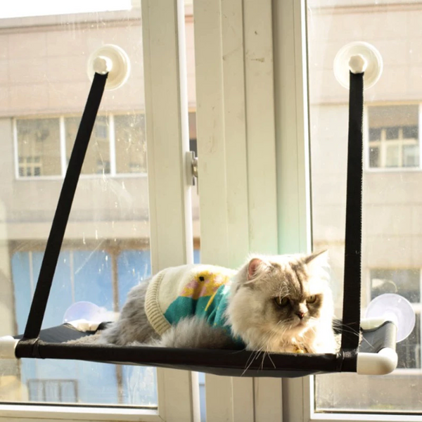Window Mounted Shelf Pet Bed Suction Cup Hanging Hammock Perch Cushion Kitty